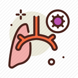肺