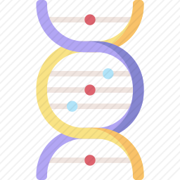 DNA