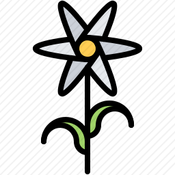 甘菊