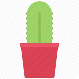 <em>仙人掌</em>