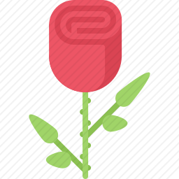 玫瑰