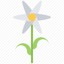 甘菊