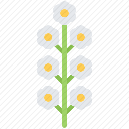 花