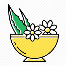<em>草本植物</em>