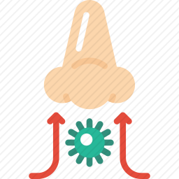 <em>鼻子</em>