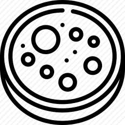 <em>培养皿</em>
