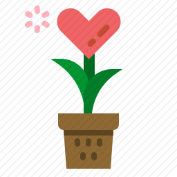 爱情植物