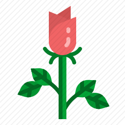 <em>玫瑰</em>