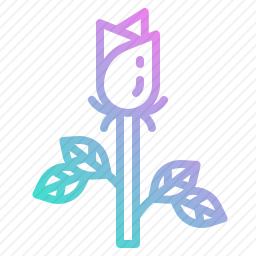 <em>玫瑰</em>