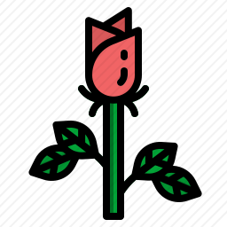 <em>玫瑰</em>