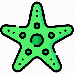 <em>海星</em>