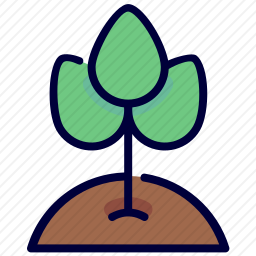 植物