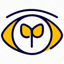 查看