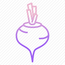甜菜根