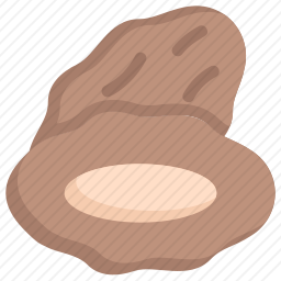 果实