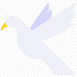 鸽子