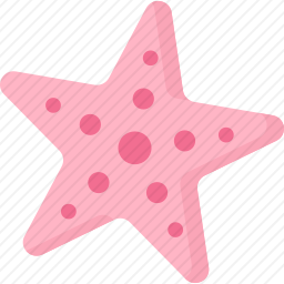 海星