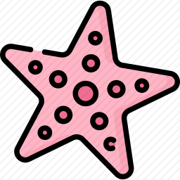 海星