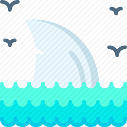 <em>鲨鱼</em>