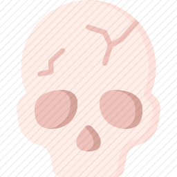颅骨