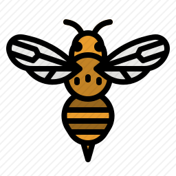 <em>蜜蜂</em>