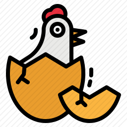 小鸡