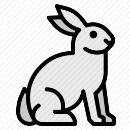 兔子