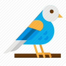 鸟