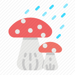 <em>蘑菇</em>