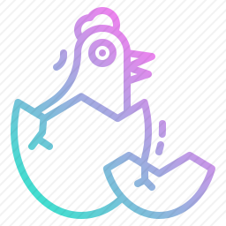 小鸡