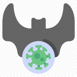 <em>蝙蝠</em>