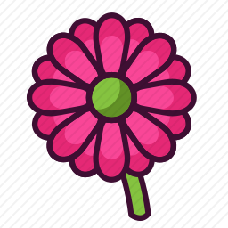 <em>非洲菊</em>