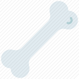 <em>骨头</em>