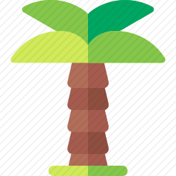 棕榈树