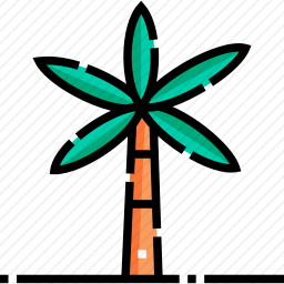 棕榈树