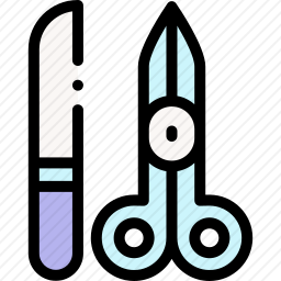 <em>手术刀</em>