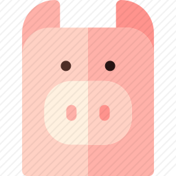 猪