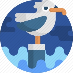 海鸥