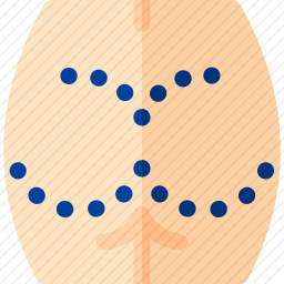 <em>臀肌</em>
