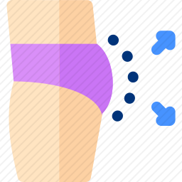<em>臀肌</em>