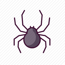 蜘蛛