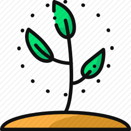 植物