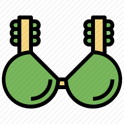 <em>胸罩</em>