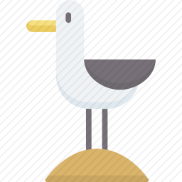 <em>海鸥</em>