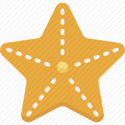 海星
