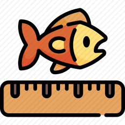 测量