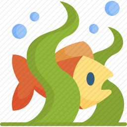 海藻