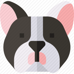 斗牛犬
