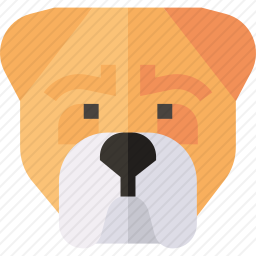 斗牛犬