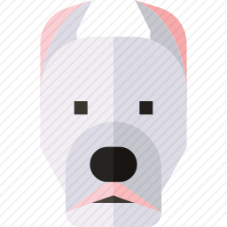 宠物狗